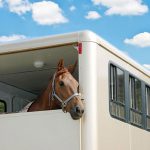 Private-horsebox-finance2