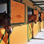 Business-horsebox-finance2
