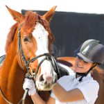 horsebox-finance-_3