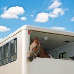 horsebox-finance_2
