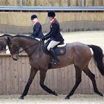 Kauto Star Dressage