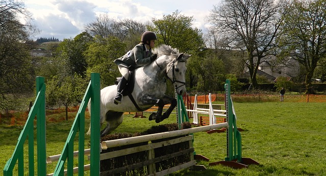 show jumping