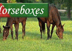 BSH-Horseboxes