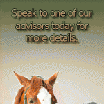 Private-sales-slide-PEG