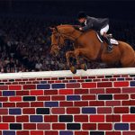 Horse of the Year Show