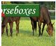 BSH Horseboxes website