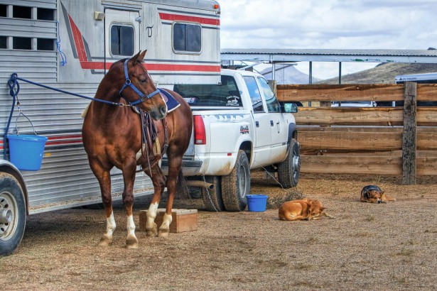 horsebox finance
