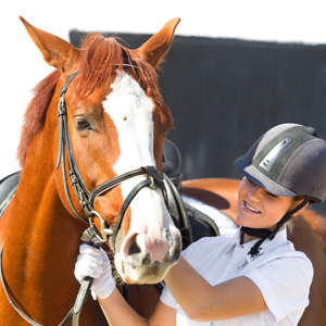 horse-finance