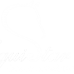 equi-star-logo_2