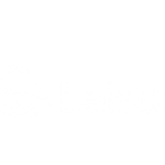 palm-logo