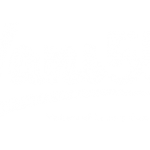 Vans55-logo