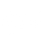 three-bridge-logo