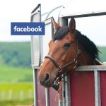Horsebox-FB-500