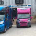 WHS600