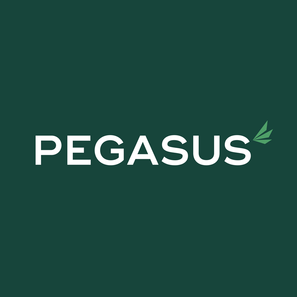 (c) Pegasusfinance.co.uk