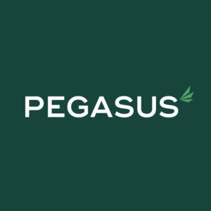Pegasus Finance Logo